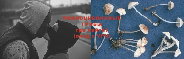 2c-b Балахна