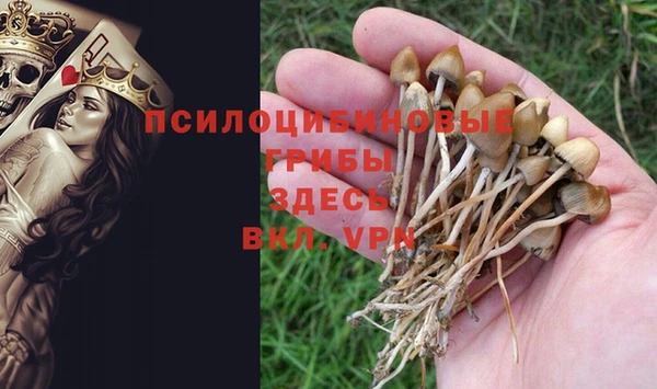 каннабис Баксан